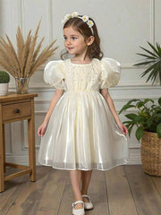 Sparkling Toddler Dress | Girls' Party Wear Trendy Collection