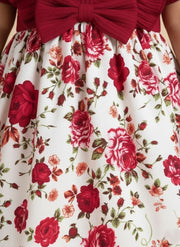 Fashion Baby Girl Dress - Toddler