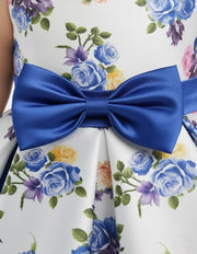 Toddler Floral  Party Dress - Girls' Collection