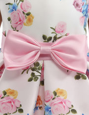 Toddler Floral  Party Dress - Girls' Collection