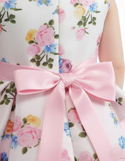 Toddler Floral  Party Dress - Girls' Collection