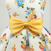 Toddler Floral  Party Dress - Girls' Collection