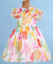 Floral Printed Ruffle Sleeve Frock for Baby Girls Trendy Collection