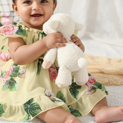 Baby Girl Rose Print Dress Collection