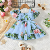 Baby Girl Rose Print Dress Collection trendy Collection