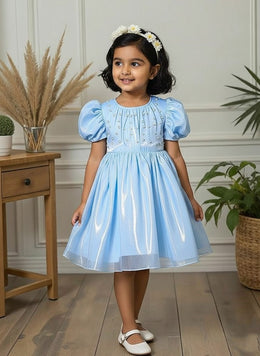 Sparkling Toddler Dress | Girls' Party Wear