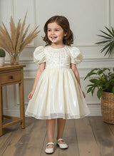 Sparkling Toddler Dress | Girls' Party Wear