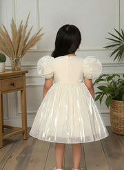 Sparkling Toddler Dress | Girls' Party Wear